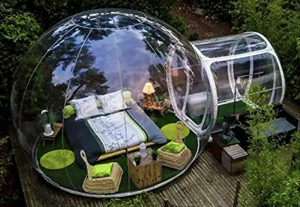 Transparent forest bubble tent with bed and lounge setup.