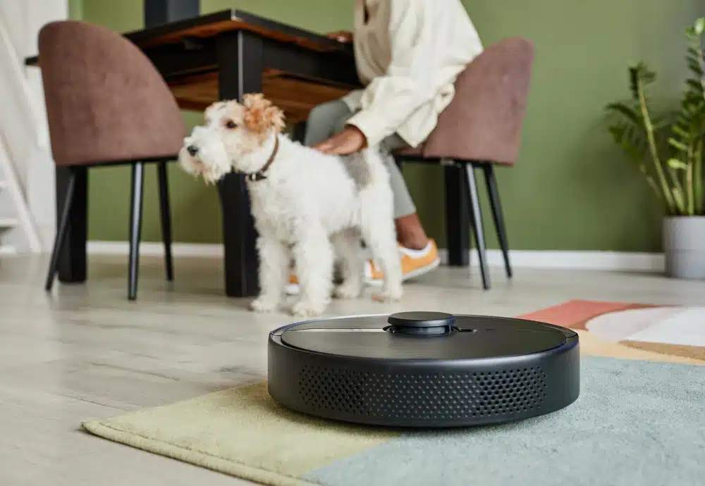 Robot vacuum cleaner on carpet near dog and person.