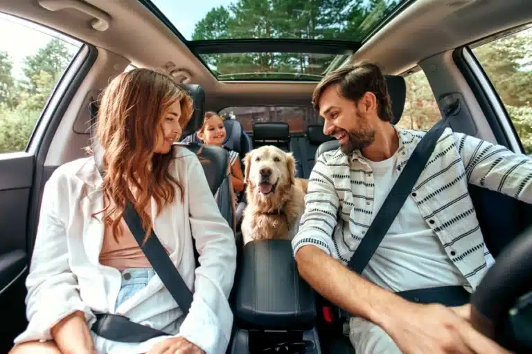 Smiling family and dog inside a car during a road trip with a scenic forest view.