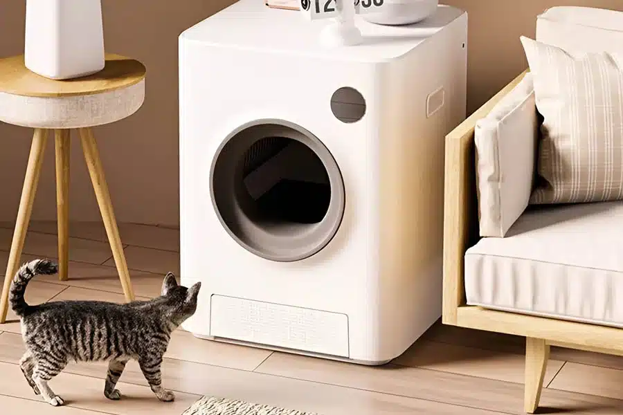 Cat approaching a sleek white pet appliance in a cozy room.