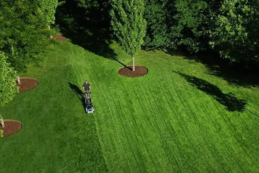 Aerial view of person mowing a green lawn with neat lines.