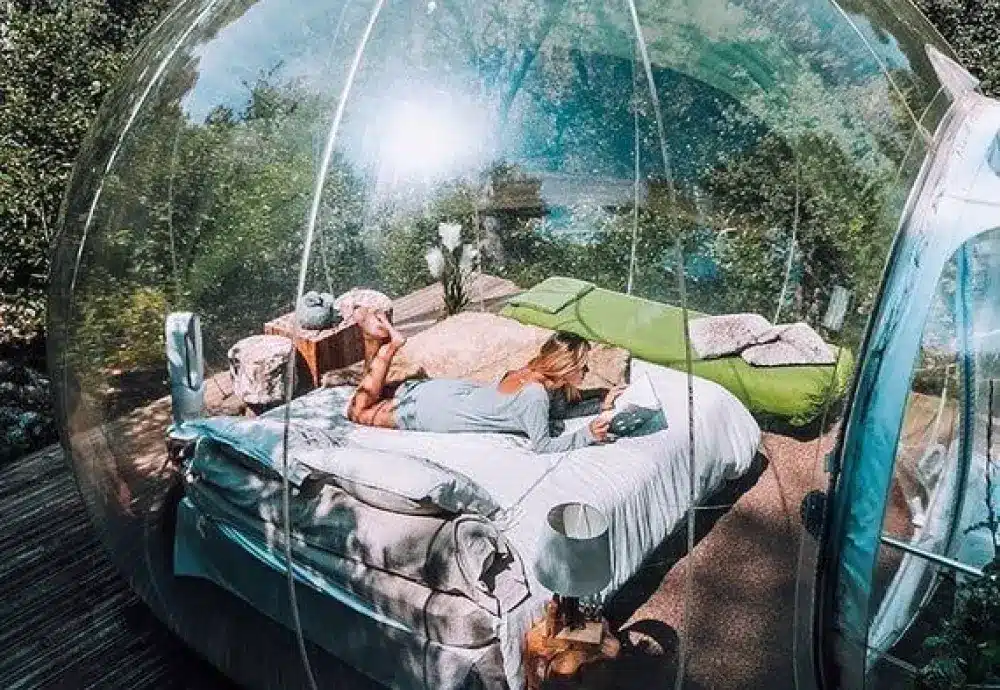 Couple in a transparent bubble dome surrounded by forest.
